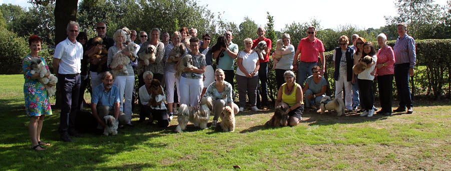 lhasa apso groep te diever lhasa apso groeps foto